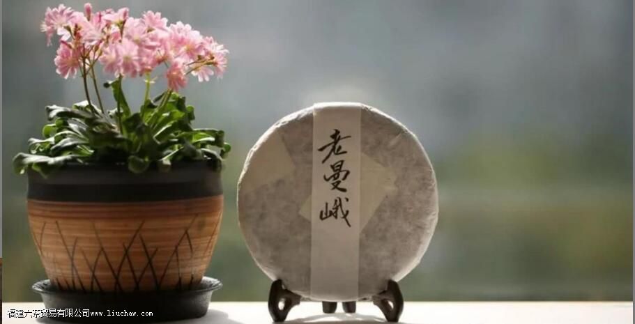 老曼峨古树茶口感特点 老曼峨古树茶口感特点