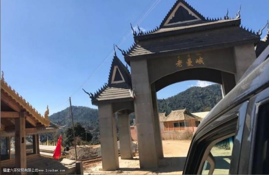 老曼峨古树茶口感特点 老曼峨古树茶口感特点