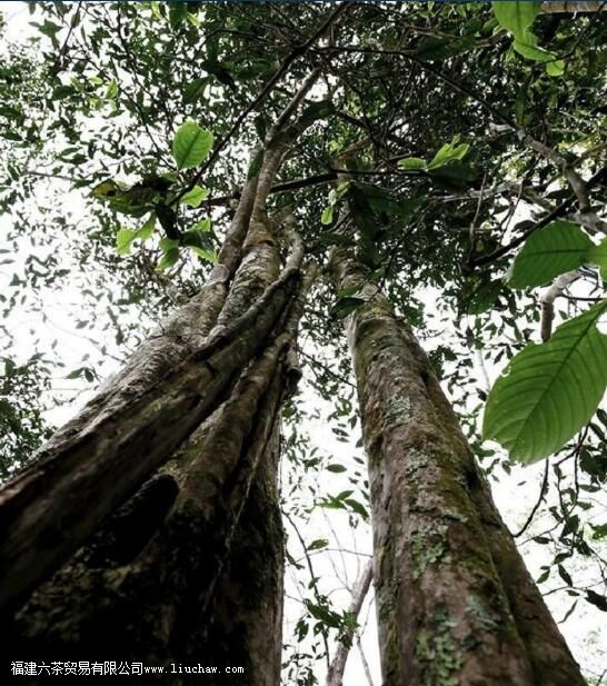 ��ˮ���ն�����ص�