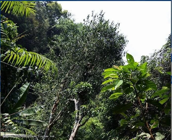 ��ˮ���ն�����ص�