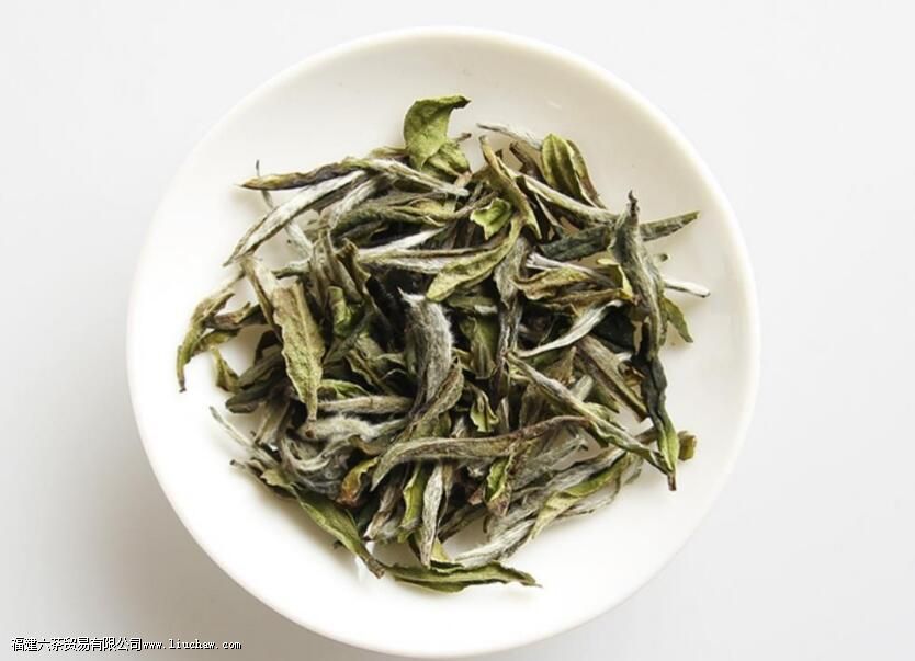 两个关键词,摸清不同年份白茶的挑选门路 两个关键词,摸清不同年份白茶的挑选门路