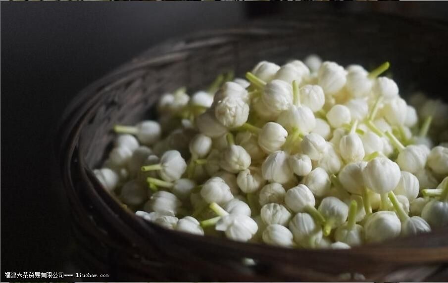 �ֺ�Ʈѩ��ʲô��