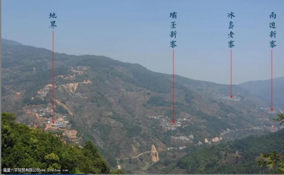 临沧茶“大有来头”,冰岛、昔归,3200岁茶祖,更是世界茶基因库 临沧茶“大有来头”,冰岛、昔归,3200岁茶祖,更是世界茶基因库