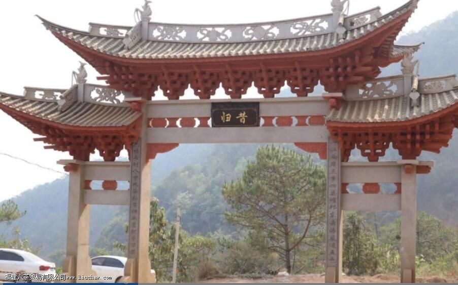 临沧茶“大有来头”,冰岛、昔归,3200岁茶祖,更是世界茶基因库 临沧茶“大有来头”,冰岛、昔归,3200岁茶祖,更是世界茶基因库