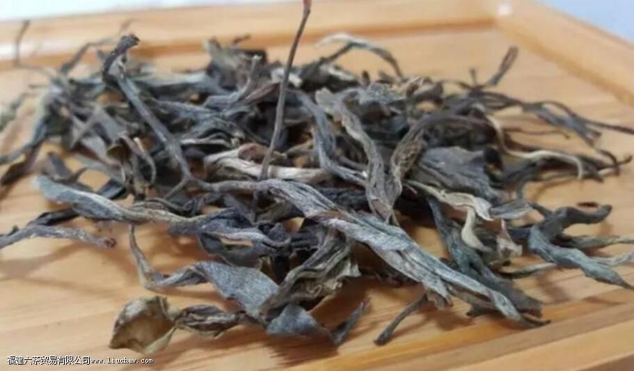 临沧茶“大有来头”,冰岛、昔归,3200岁茶祖,更是世界茶基因库 临沧茶“大有来头”,冰岛、昔归,3200岁茶祖,更是世界茶基因库