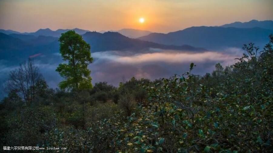 �ٲ״�ѩɽ��������ص�