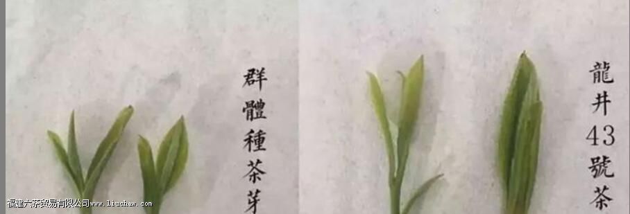 ����43���ϲ��������