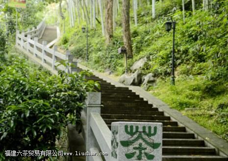 ���������������������