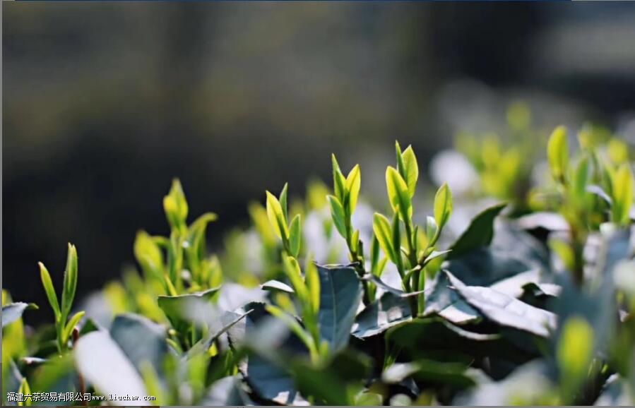 �����ڸ�ƫ����ʲôԭ��