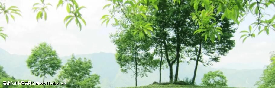 ¤���������ص���ʲô