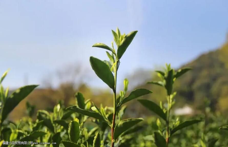 �̲��ժʱ��