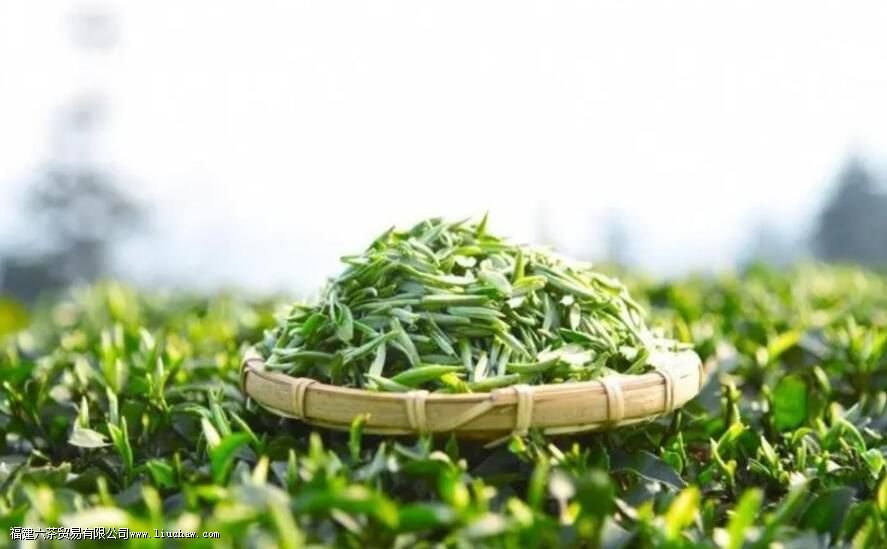 �̲��ժʱ��