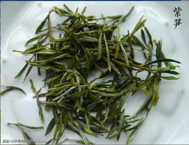 �̲�ɲ����Ҫ��̬����Щ