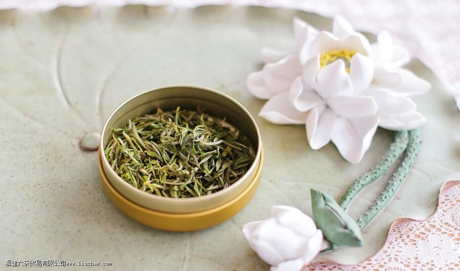 �̲����Ʒ������