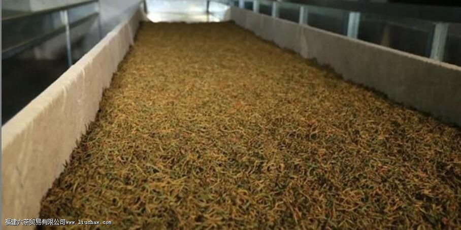 �̲�������ʲô��һ��