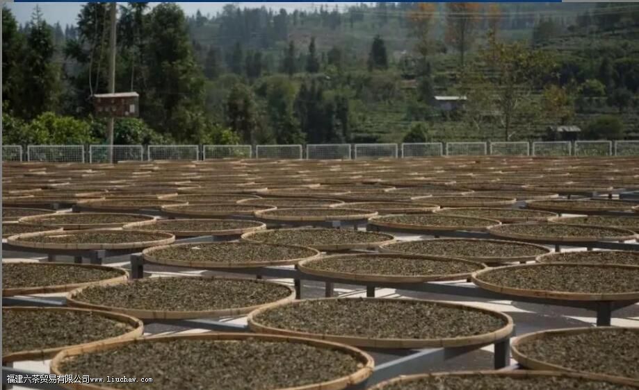 �̲����緢��������