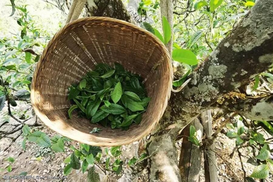 ��ˮ���ն�����ʲô�ص�