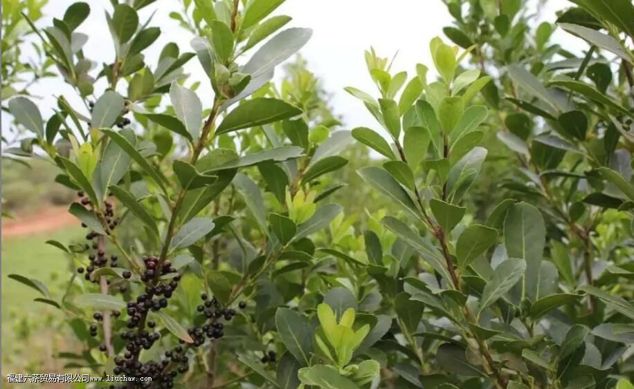 �������ʲô������Щ�ص�