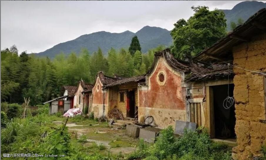 ����Ұ��������ʲô��