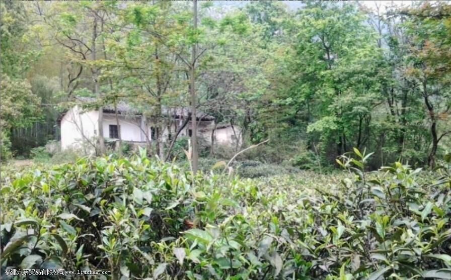 ����Ұ��������ʲô��