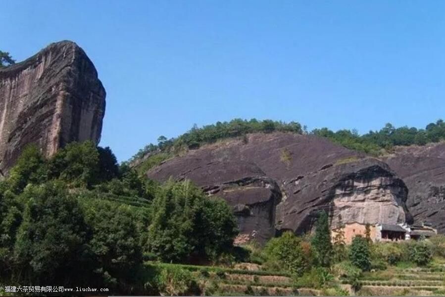 ��ͷ��������ʲô�ص�