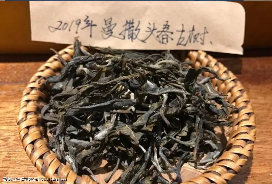 曼撒茶区普洱茶的特点 曼撒茶区普洱茶的特点