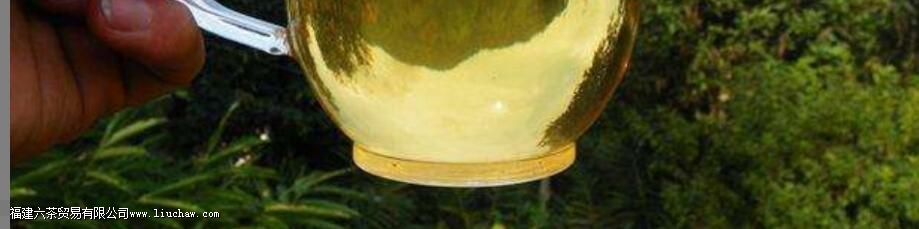 曼松王子普洱茶的特点 曼松王子普洱茶的特点