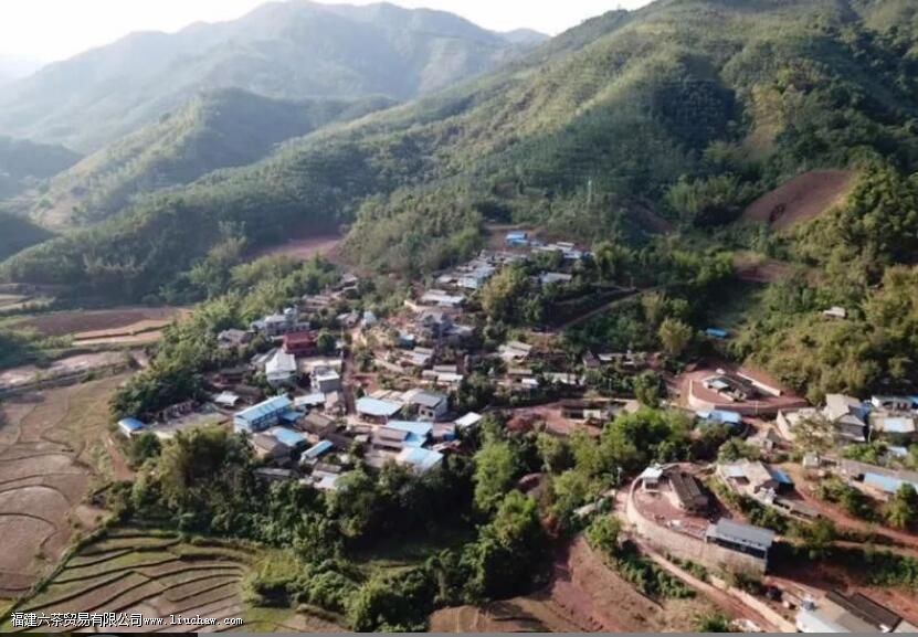 曼松王子山与背阴山的区别 曼松王子山与背阴山的区别