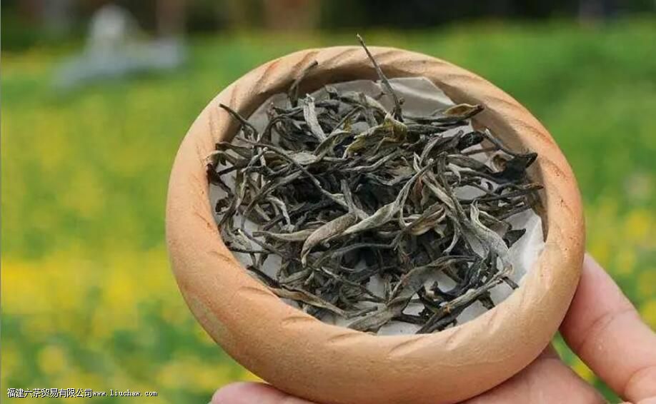 ç֦�ն�����ص�