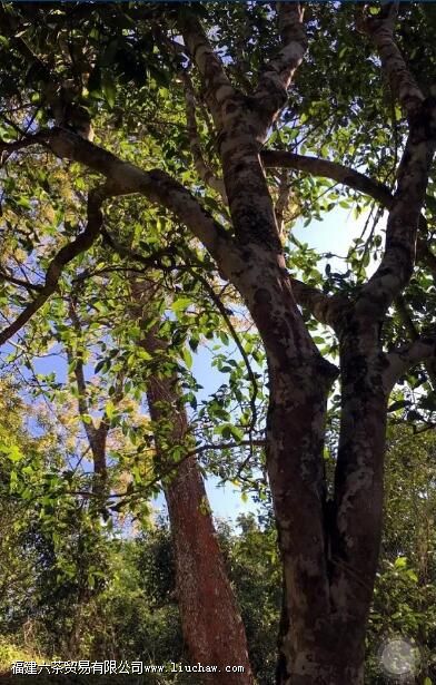 ç֦�ն�����ص�