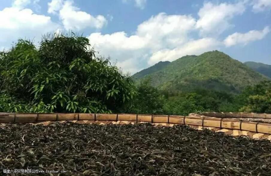 ç֦�ն�����ص�