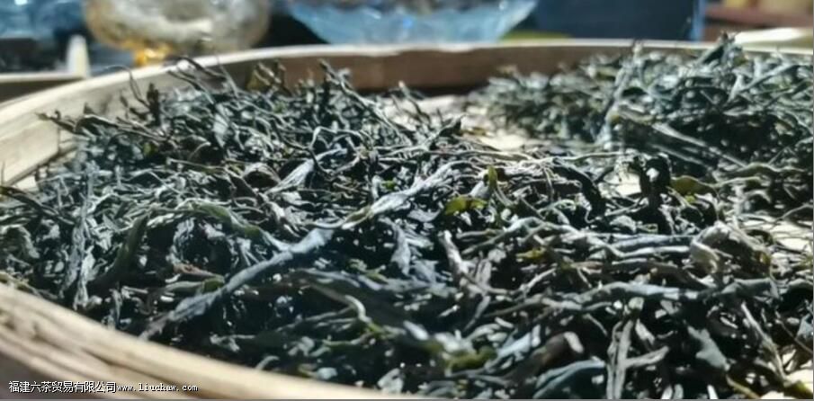 漭水古树茶的口感特点 漭水古树茶的口感特点