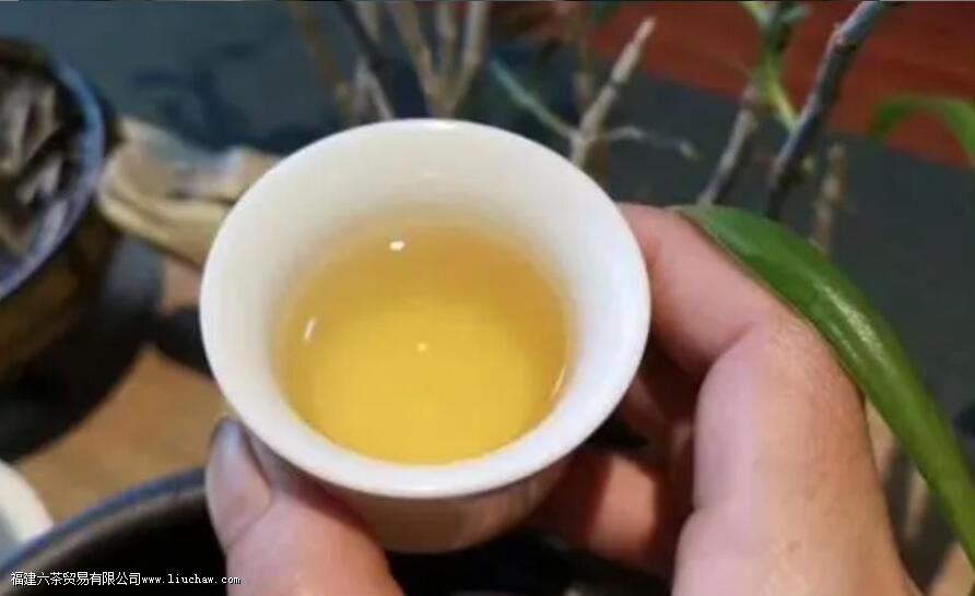 漭水古树茶的口感特点 漭水古树茶的口感特点
