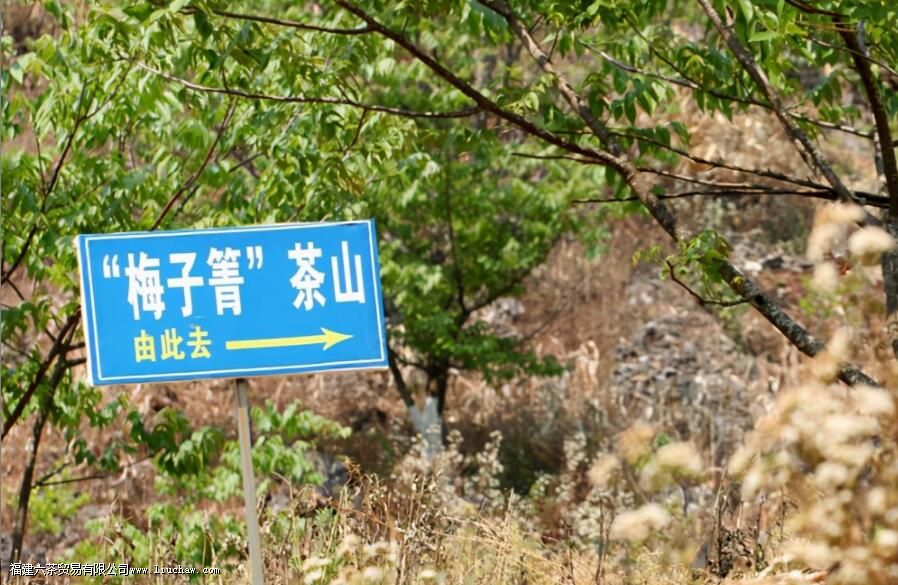 ÷����������ص�