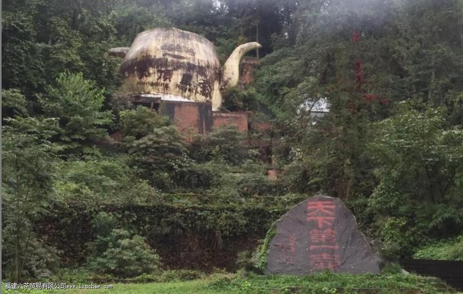 蒙顶黄芽和君山银针的区别 蒙顶黄芽和君山银针的区别