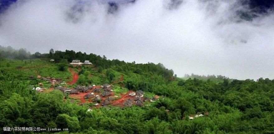 勐海茶区有哪些山头 勐海茶区有哪些山头
