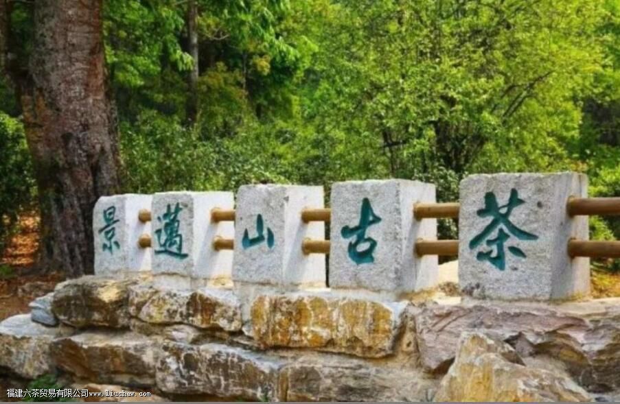 勐海茶区有哪些山头 勐海茶区有哪些山头