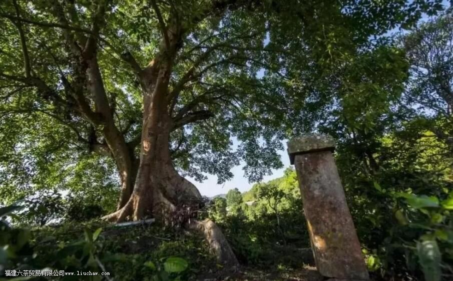 �Ե۹����������ĸ�����