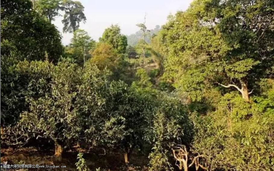 �Ե۹����������ĸ�����