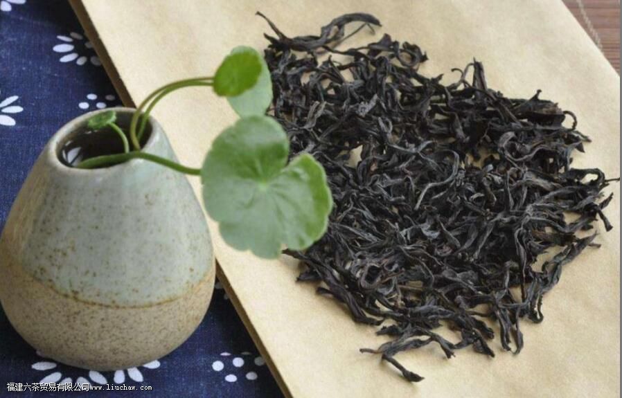 蜜兰香和鸭屎香的区别 蜜兰香和鸭屎香的区别