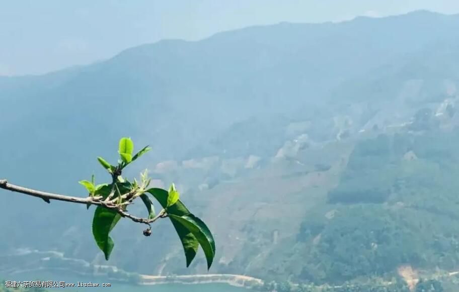 ĥ�ҹ�������ص�