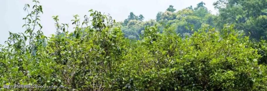 ĥ�ҹ�������ص�