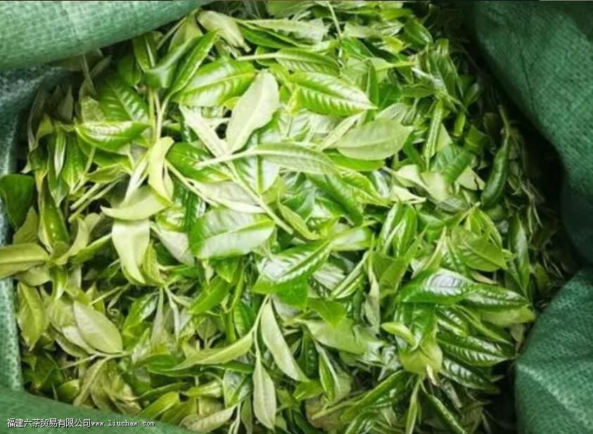 ĥ�ҹ�������ص�