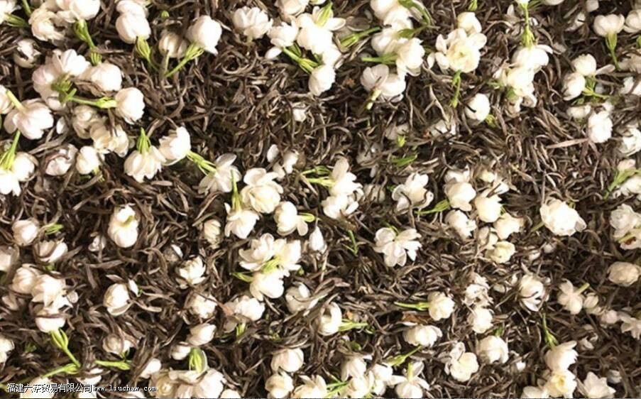 茉莉茶会放香吗 茉莉茶会放香吗