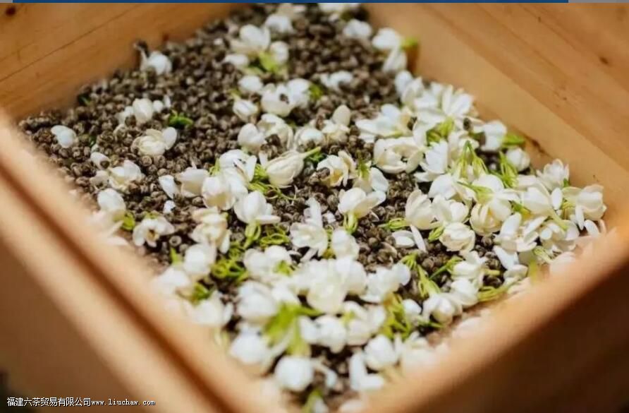 ���򻨲����