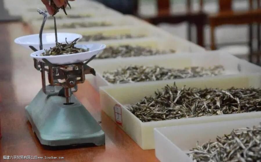 ���򻨲����