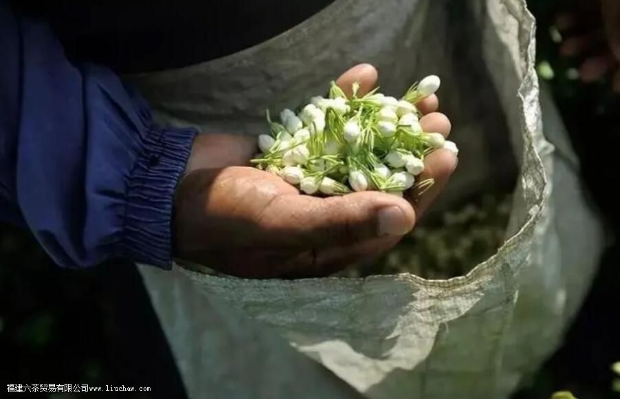 ���򻨲����