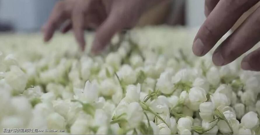 ����������ʲô������Щ�ص�