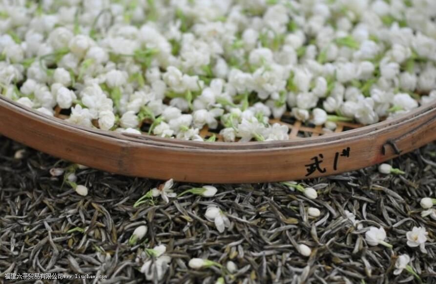 ������������ʲô��