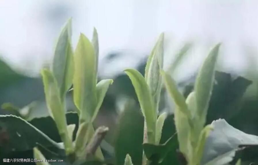 ĵ�����ײ��ص�